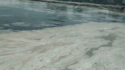 Moleküler Biyoloji ve Genetik Uzmanı Dr. Öğr. Üyesi Esma Ulusoy,