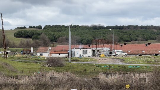  (İHA) - Arnavutköy'de bir çiftlik evinde iddiaya göre tartıştığı
